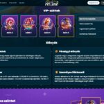 VIP program